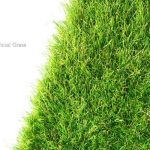 Professional Artificial Grass Installation for a Greener Tomorrow